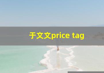 于文文price tag